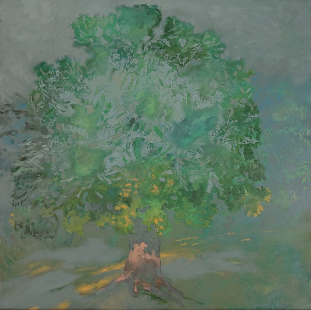 16 huile sur papier 50x50