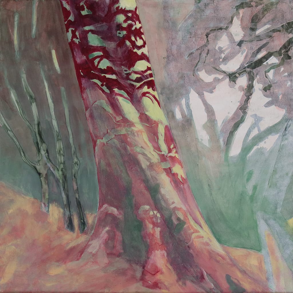 14 huile sur papier 50x50