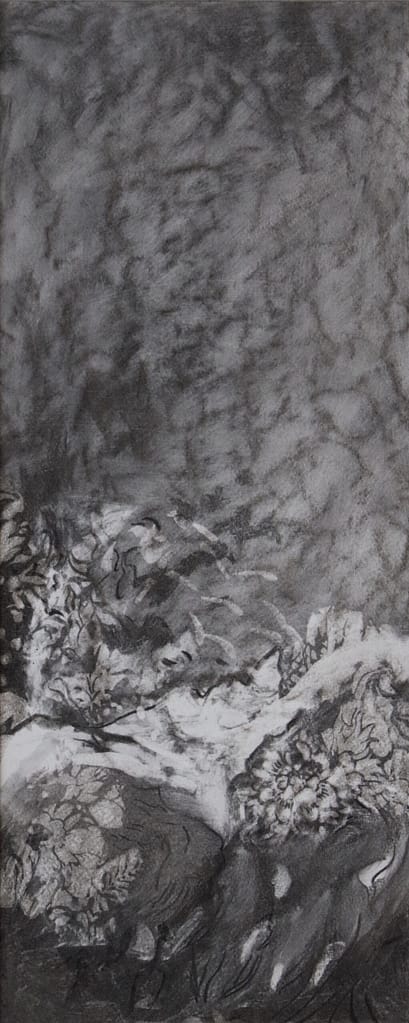 03 fusain:pastel 50x20