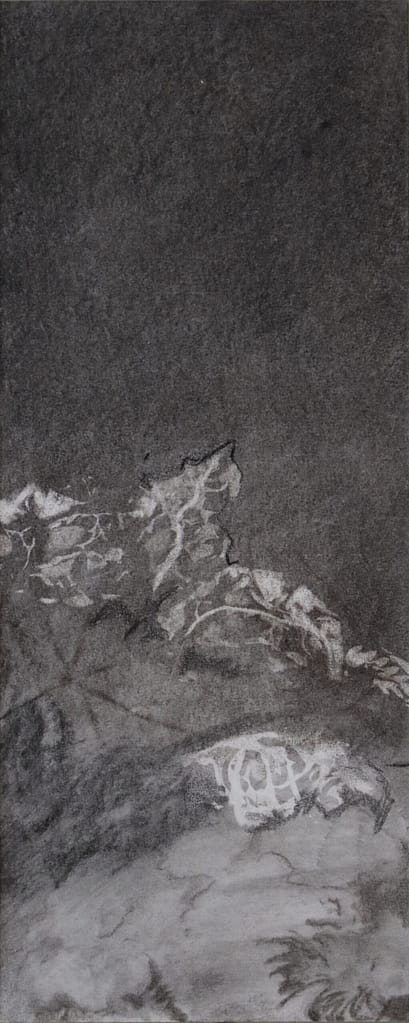 04 fusain:pastel 50x20