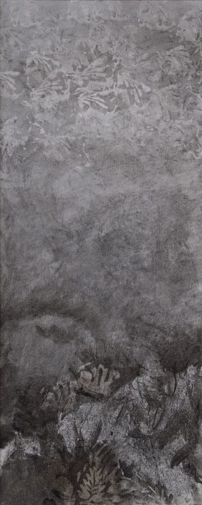 05 fusain:pastel 50x20