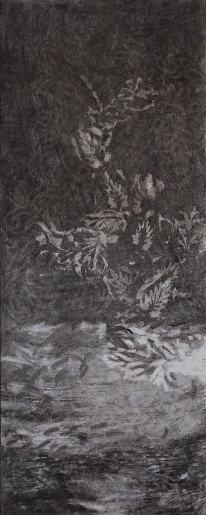 06 fusain:pastel 50x20