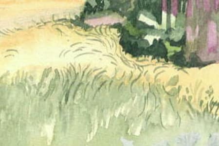 Vignette aquarelles avant 2010 12,5x18cm