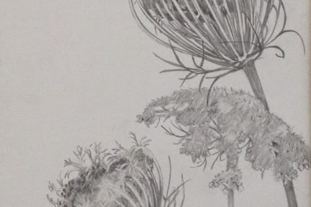 Vignette dessins après 2010 50x20cm