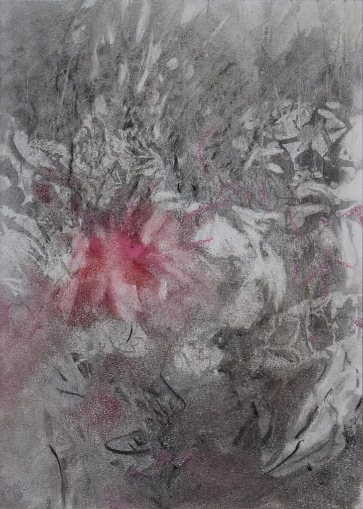 12 fusain:pastel 25x35cm