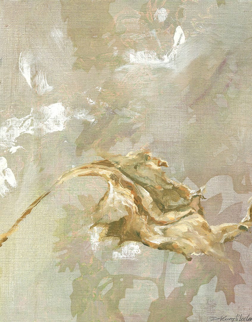 11 huile sur papier 24x19