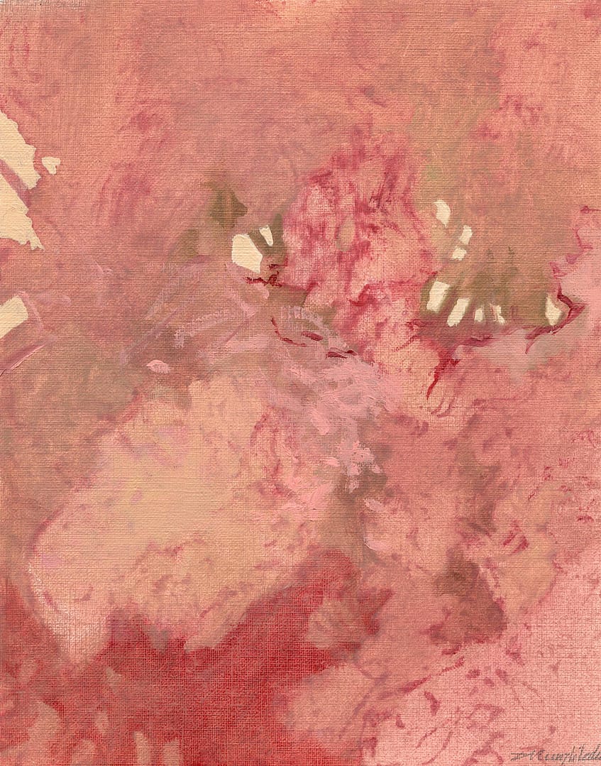 12 huile sur papier 24x19